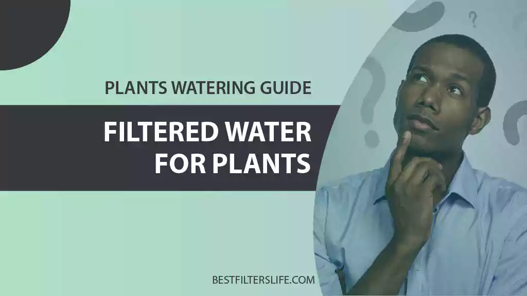 filtered water good for watering plants