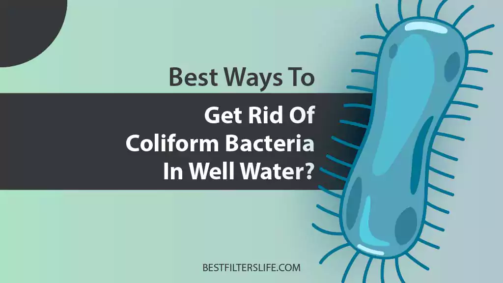 how to get rid of coliform bacteria in well water