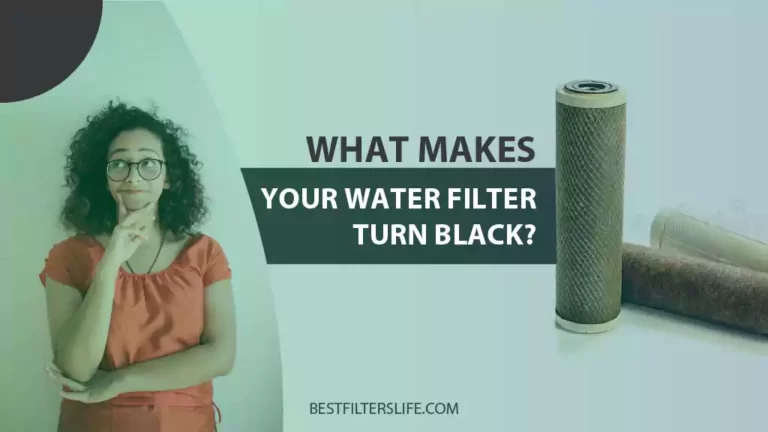 what makes your water filter turn black