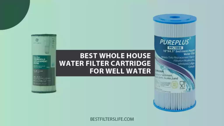 Best Whole House Water Filter Cartridge For Well Water