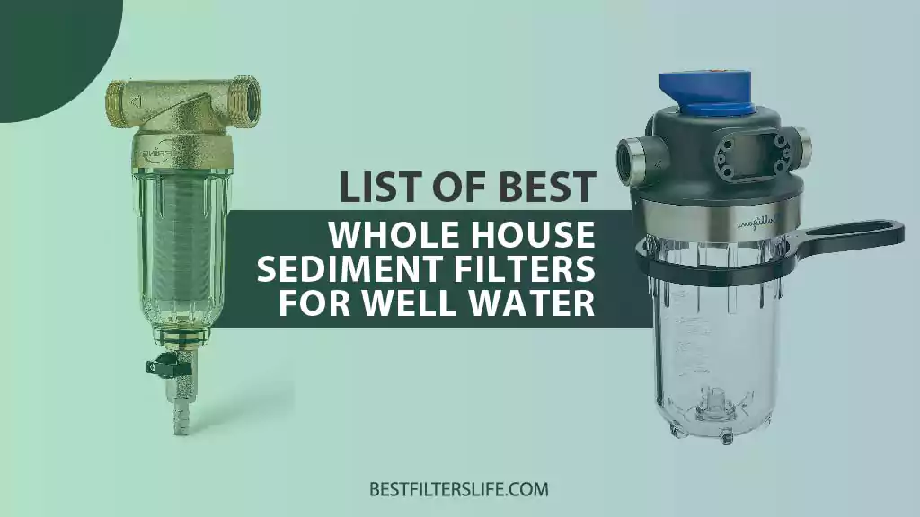 Best Whole House sediment filter for well water