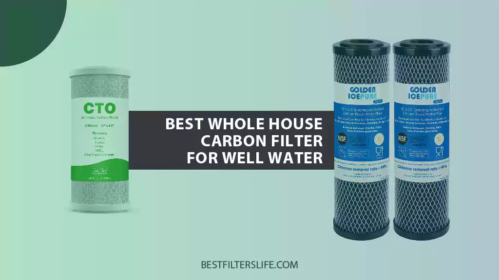 Best Whole House Carbon Filter For Well Water
