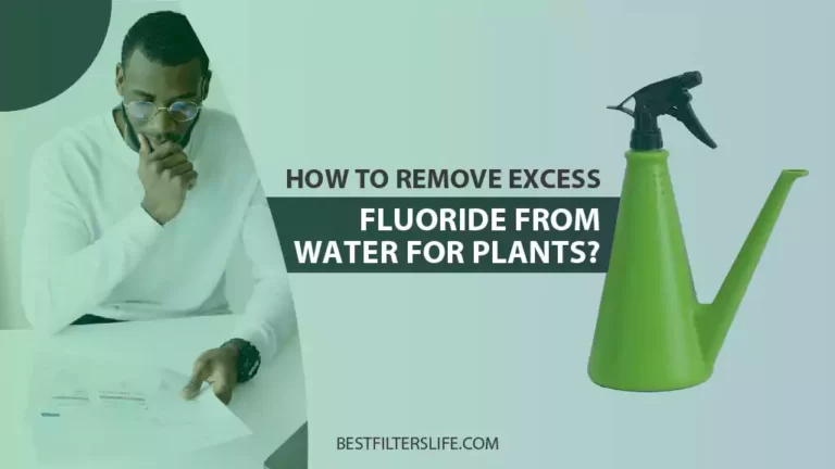 How To Remove Fluoride From Water For Plants