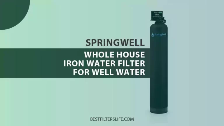 Springwell Whole House Iron Filter For Well Water