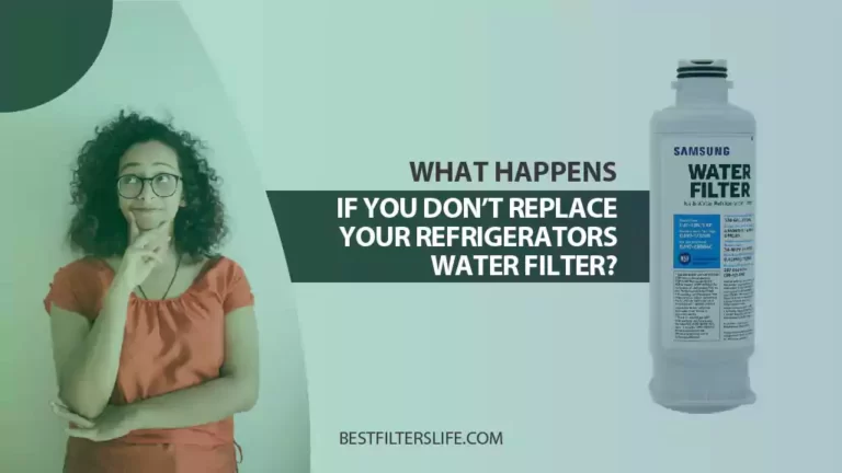 What Happens If You Dont Replace Your Refrigrtors Water Filter