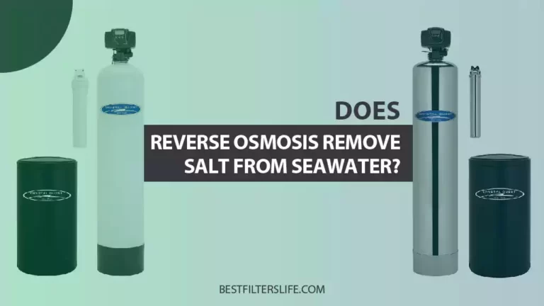Does Reverse Osmosis Remove Salt from Seawater